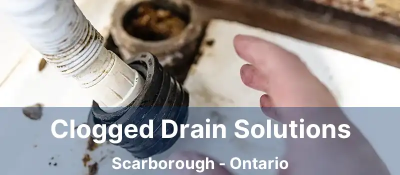  Clogged Drain Solutions Scarborough - Ontario