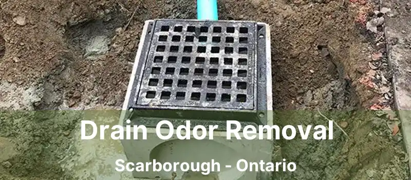  Drain Odor Removal Scarborough - Ontario